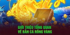 Giới thiệu tổng quan về bắn cá rồng vàng